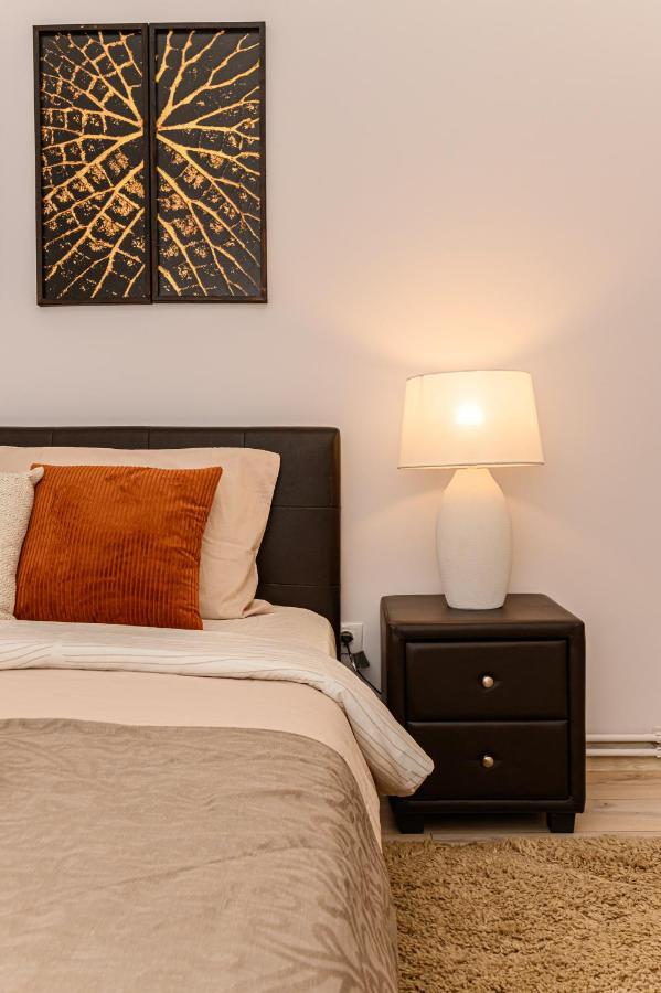 Chic&View Brasov Apartment المظهر الخارجي الصورة